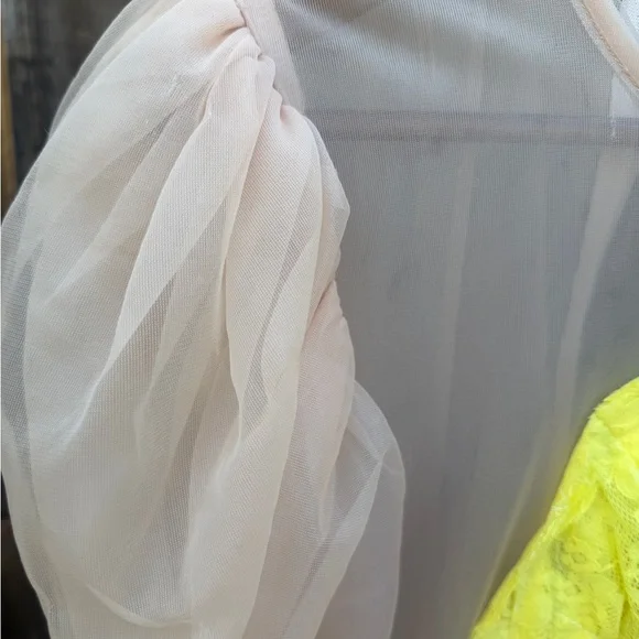 Comme Des Garçons Pink Ruffled lace Tulle sheer Dress - Size small - Picture 9 of 13